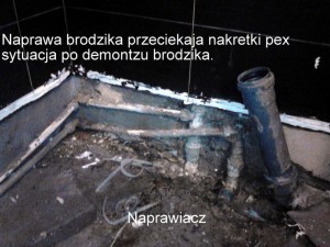 uszczelnienie brodzika